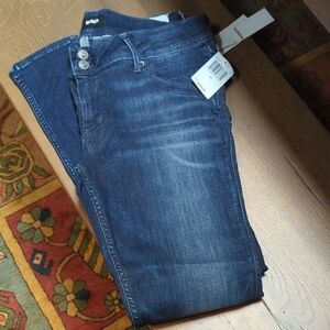 Hudson Jeans Deep Blue Skinny Jeans